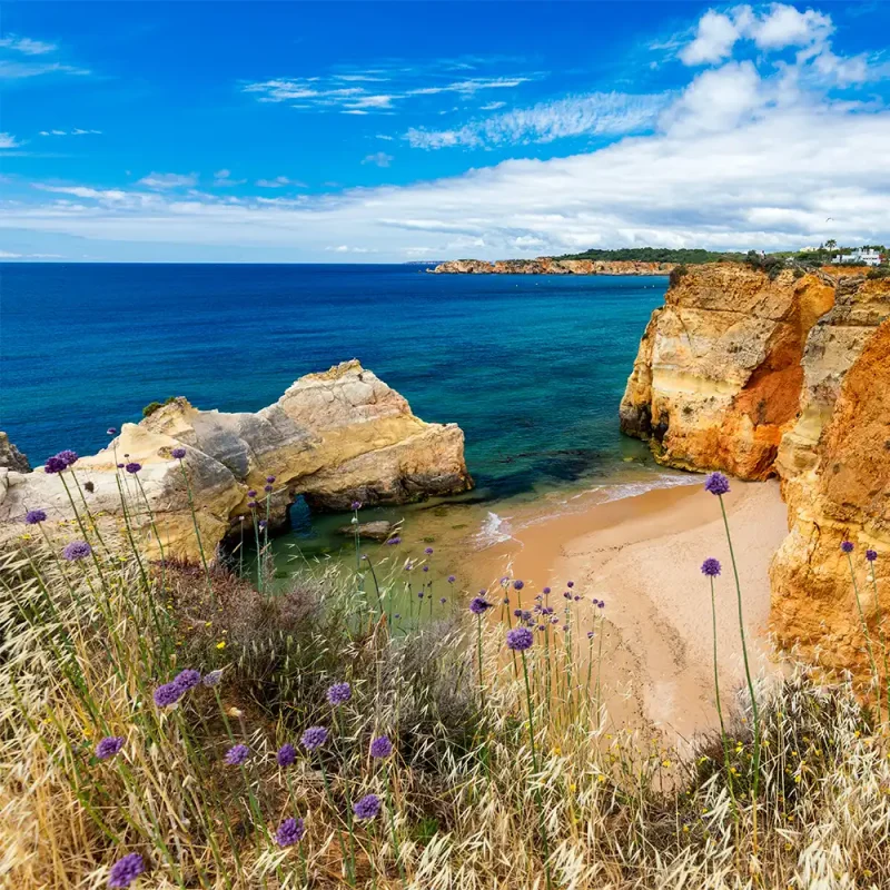 Praia dos Careanos